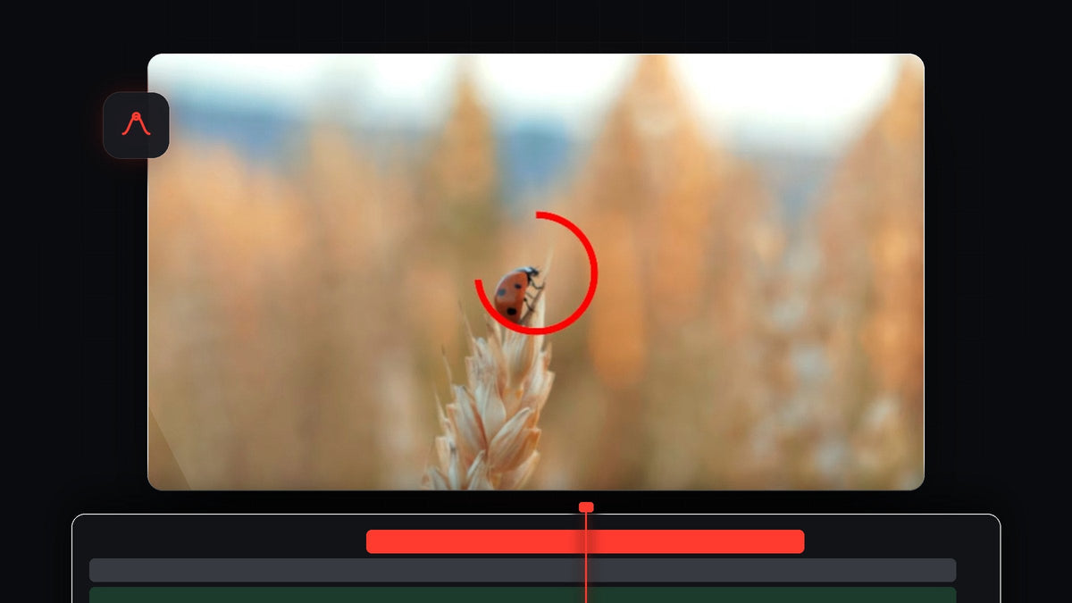 A red circle outline being drawn around a ladybug in Premiere Pro
