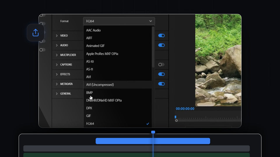 Premiere Pro export settings with the Format dropdown open next to a video preview of a forest stream