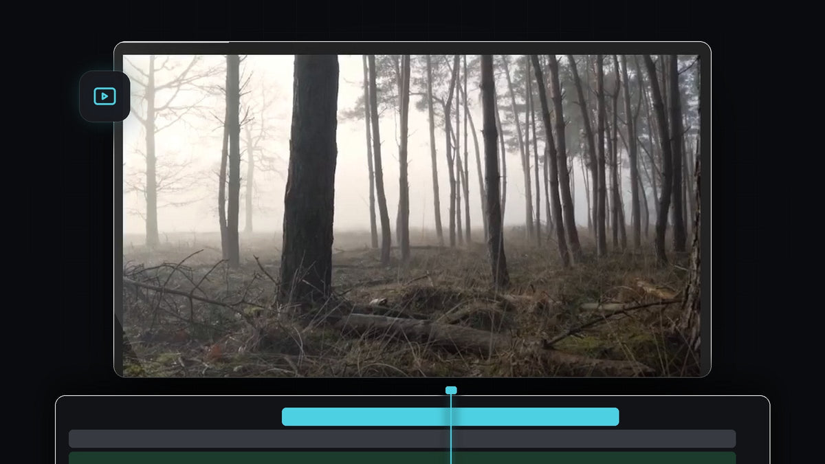 Misty forest still frame shown in the Premiere Pro Program Monitor