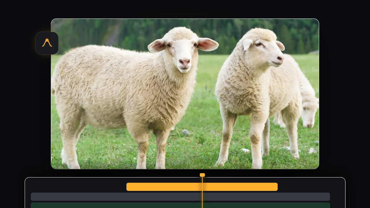 Two sheep standing on a green meadow, a still image animated in VOX style in Premiere Pro