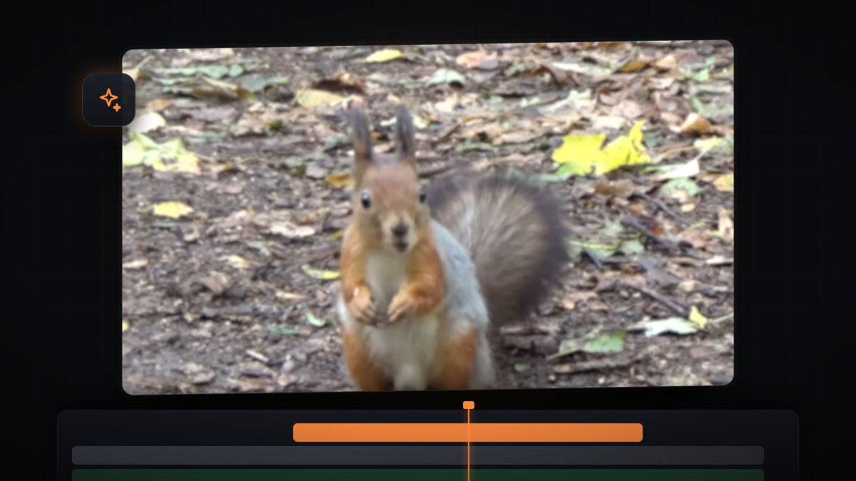 A squirrel zoomed in with soft blur, an example of the blur zoom effect in Premiere Pro