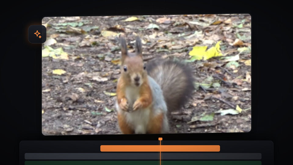 A squirrel zoomed in with soft blur, an example of the blur zoom effect in Premiere Pro