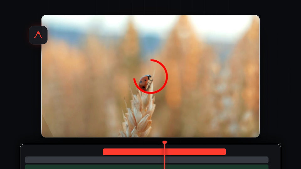 A red circle outline being drawn around a ladybug in Premiere Pro