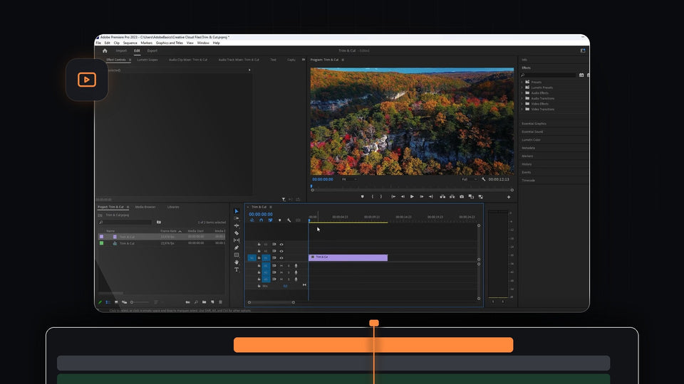 Premiere Pro workspace with an autumn forest aerial clip in the Program Monitor and a clip on the timeline