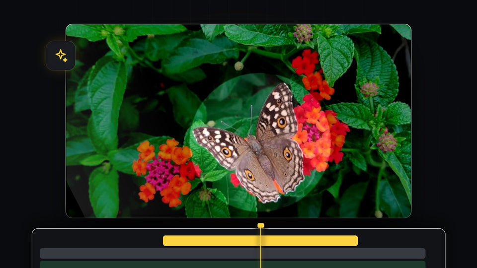 Butterfly on red flowers lit inside a soft circular spotlight with the dark green background around it