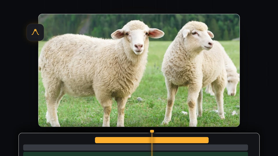 Two sheep standing on a green meadow, a still image animated in VOX style in Premiere Pro