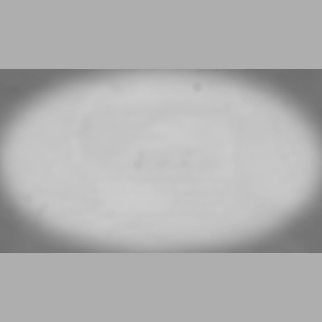 Cargar video: Typewriter Intro Animation